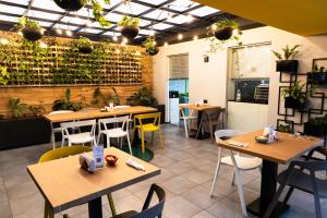 palmetto hotel business san borja