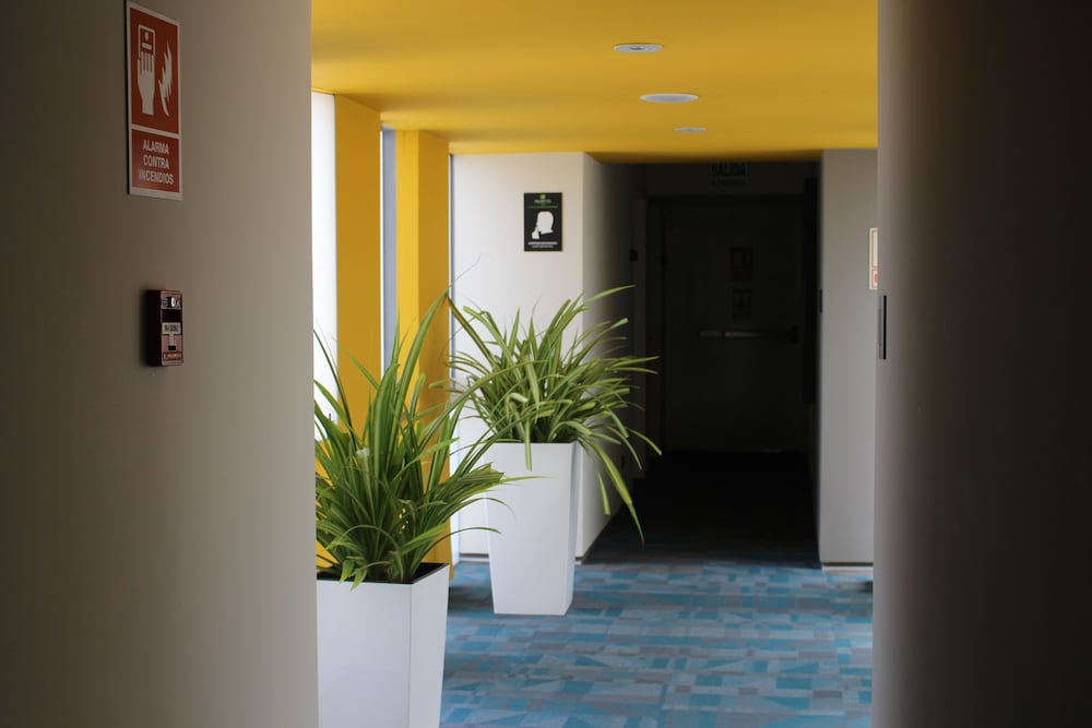 palmetto hotel business san borja