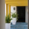 palmetto hotel business san borja