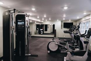 holiday inn express st louis central west end