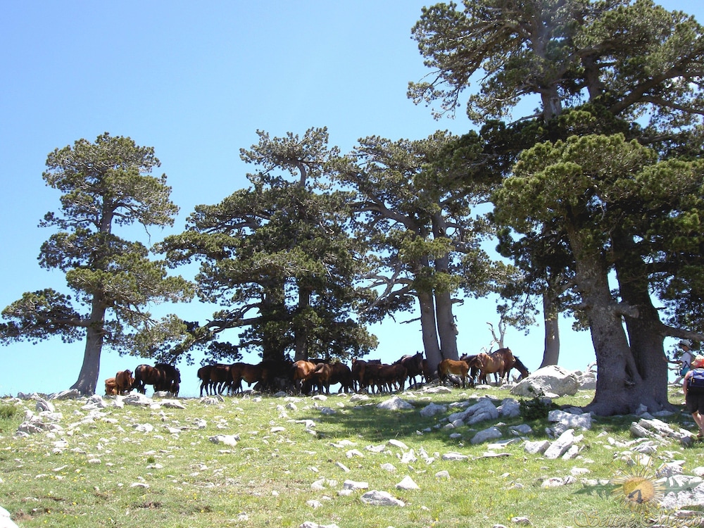 castelluccio superiore