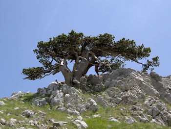 castelluccio superiore