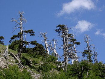 castelluccio superiore