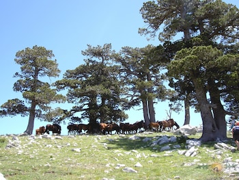 castelluccio superiore