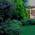 bizim ev hotel adults only