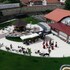 hotel leul de aur