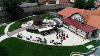 hotel leul de aur