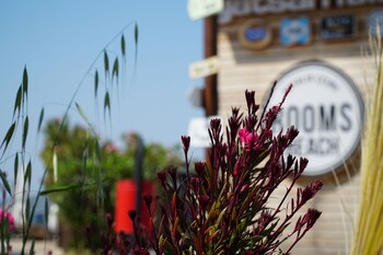 cesme