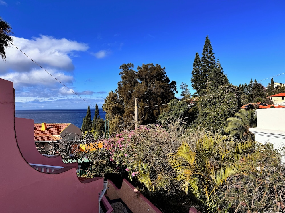 santa cruz