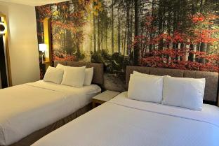 the willowbrook village at lake harmony a wyndham hotel