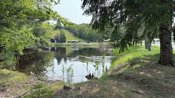 the willowbrook village at lake harmony a wyndham hotel