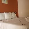 hotel flamboyants