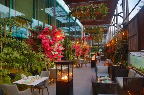 hilton amman
