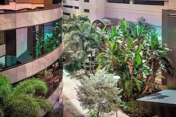 the westshore grand a tribute portfolio hotel tampa