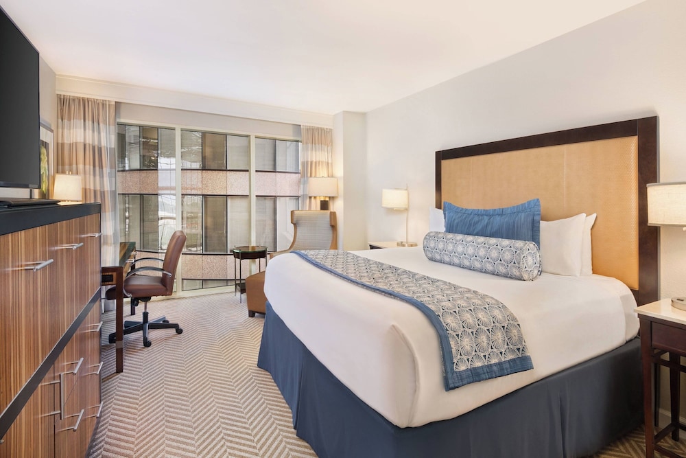 the westshore grand a tribute portfolio hotel tampa