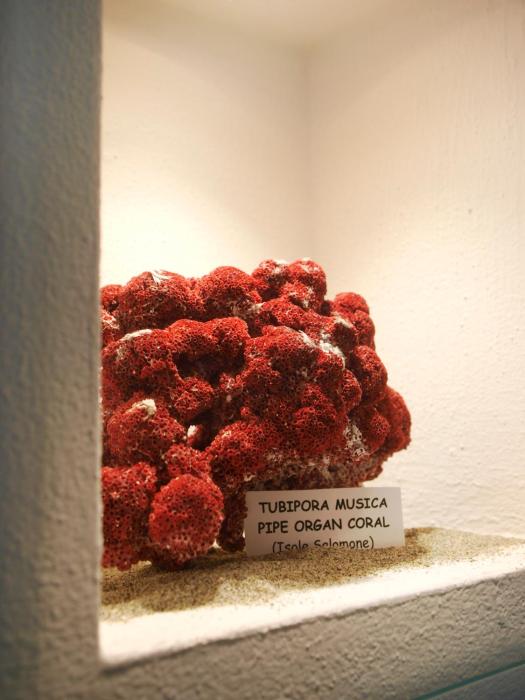 nago torbole