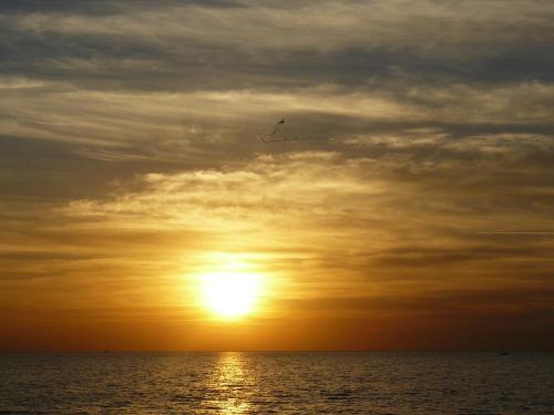 sea side by zvieli hotels