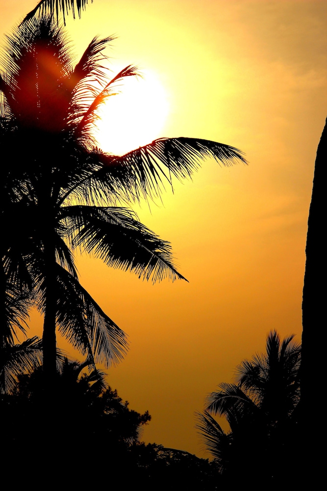 vgp golden beach resort
