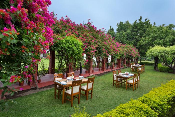 naturoville wellness resort rishikesh surrounded by nature rooted in wellness