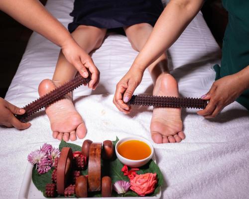naturoville wellness resort rishikesh surrounded by nature rooted in wellness