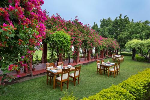 naturoville wellness resort rishikesh surrounded by nature rooted in wellness
