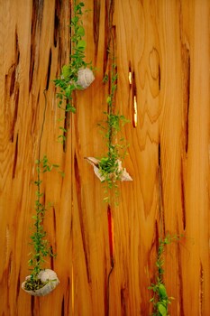 bay forest boutique hotel