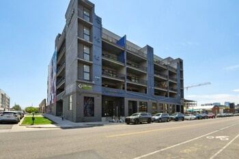 brushed and bold rino art lofts
