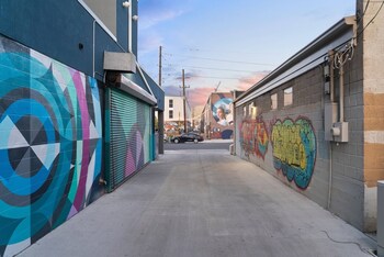 brushed and bold rino art lofts