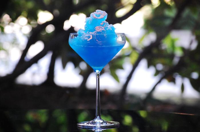 hotel trusty tokyo bayside