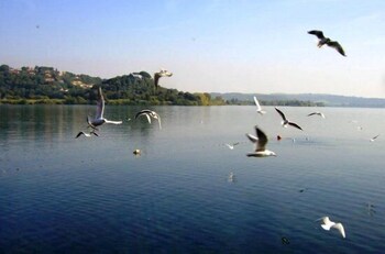 bandb raggio di sole