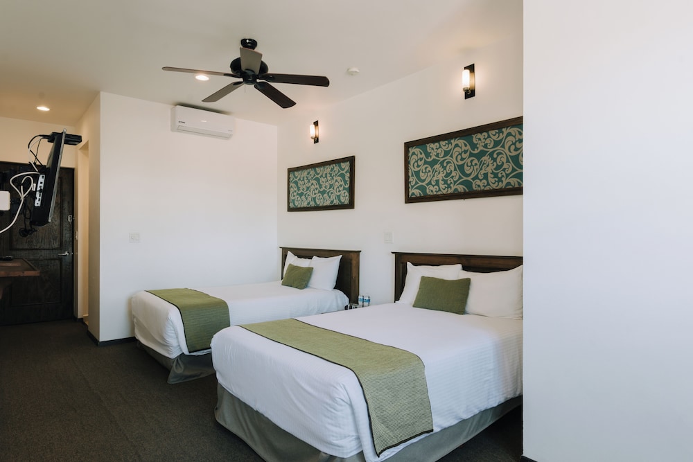 san miguel de allende