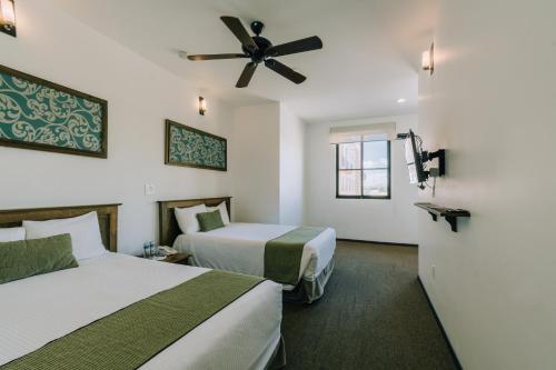 san miguel de allende