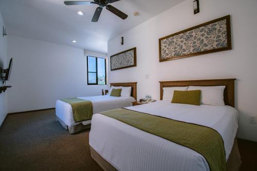 san miguel de allende