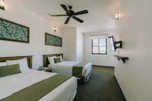 san miguel de allende