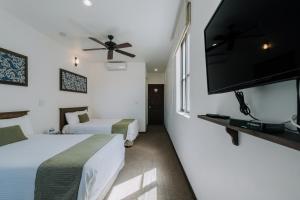 san miguel de allende