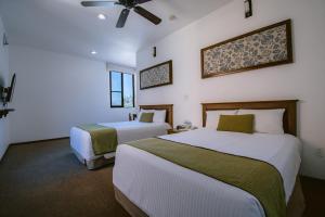 san miguel de allende