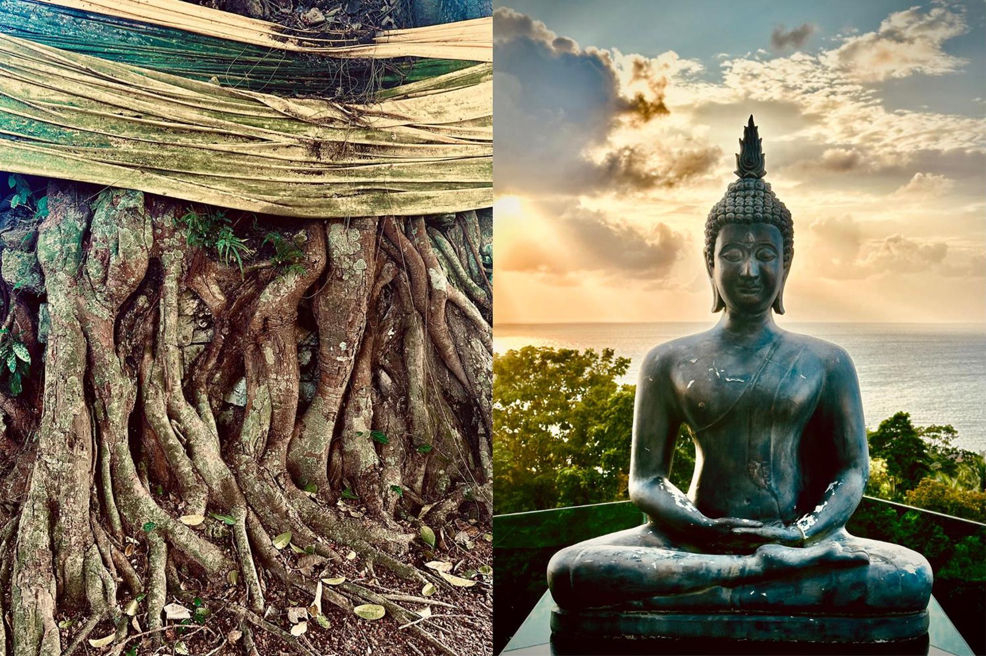 dreamville koh phangan