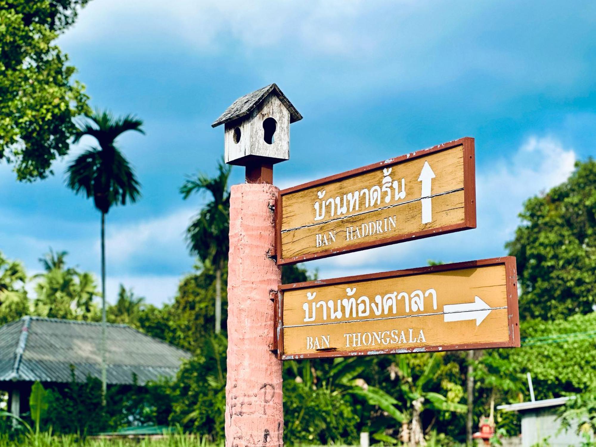 dreamville koh phangan