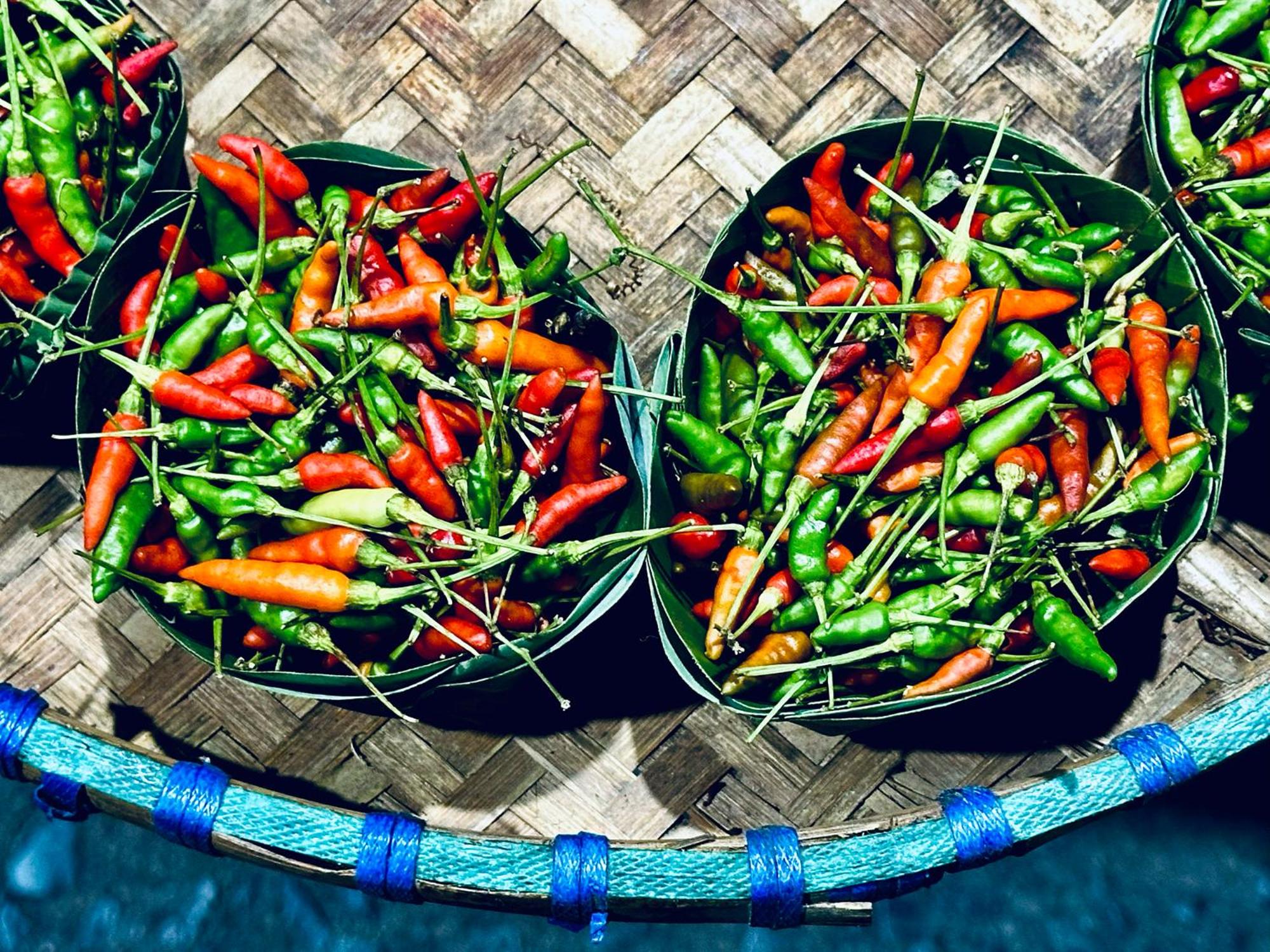 dreamville koh phangan