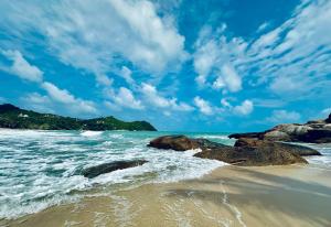 dreamville koh phangan