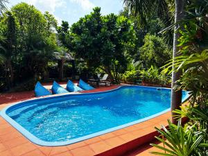 dreamville koh phangan