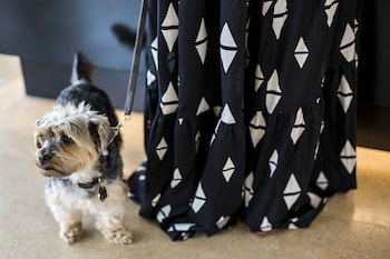 ocean drive talamanca