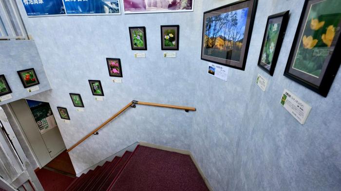 resort inn marion shinano