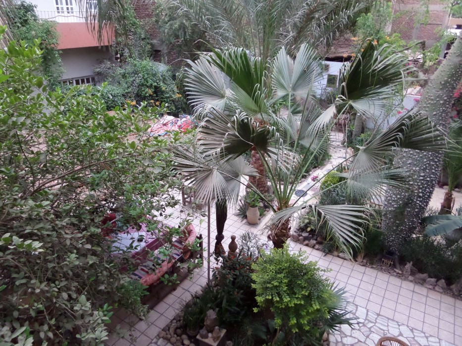 amon hotel