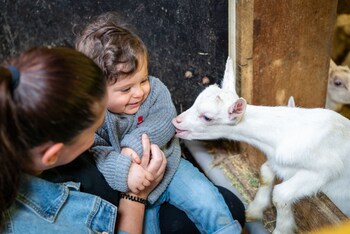 Vvf Bleriot-Plage,Calais>>Bleriot-Plage,3 star