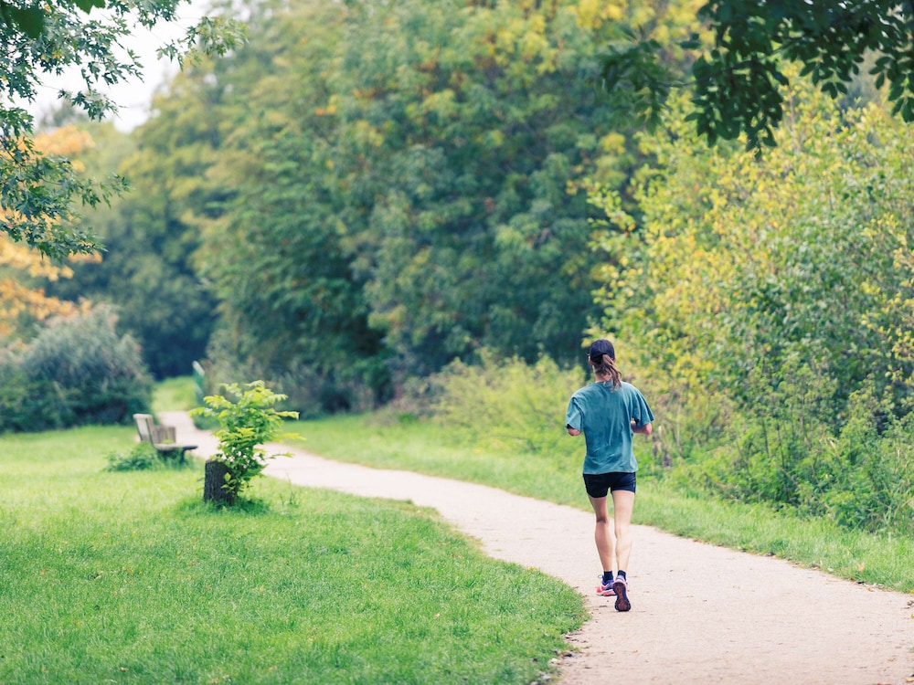 ibis budget versailles trappes