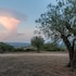 masseria della volpe