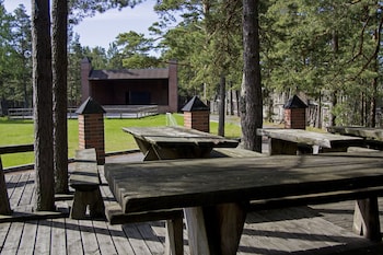 viking motel