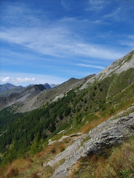 racines