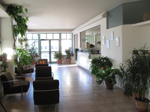 foligno
